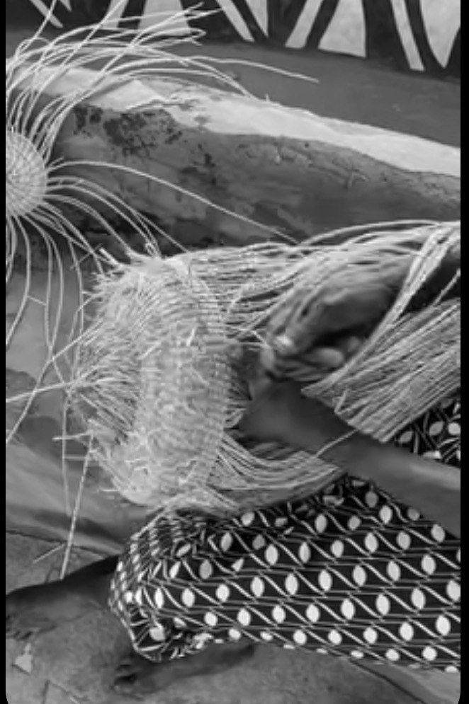Preparing sisal before the weave
